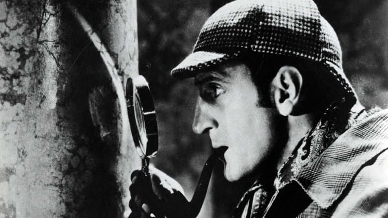 The Hound of the Baskervilles still