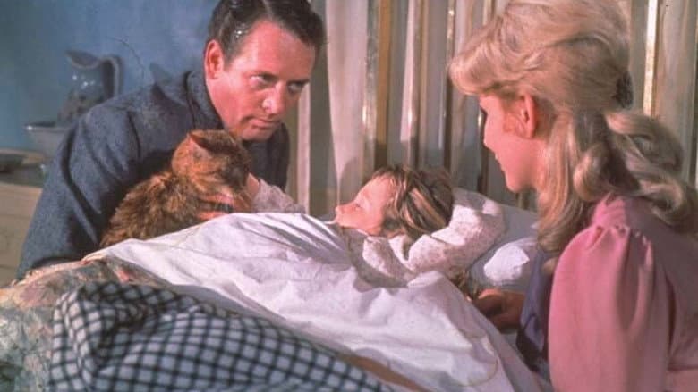 The Three Lives of Thomasina still