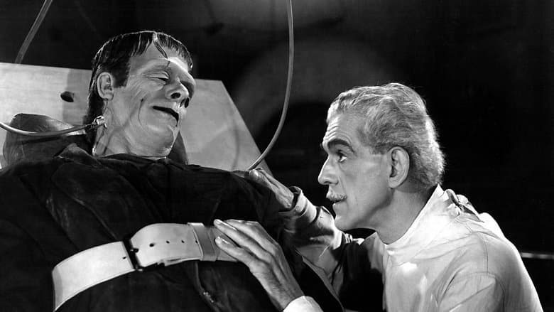 House of Frankenstein still