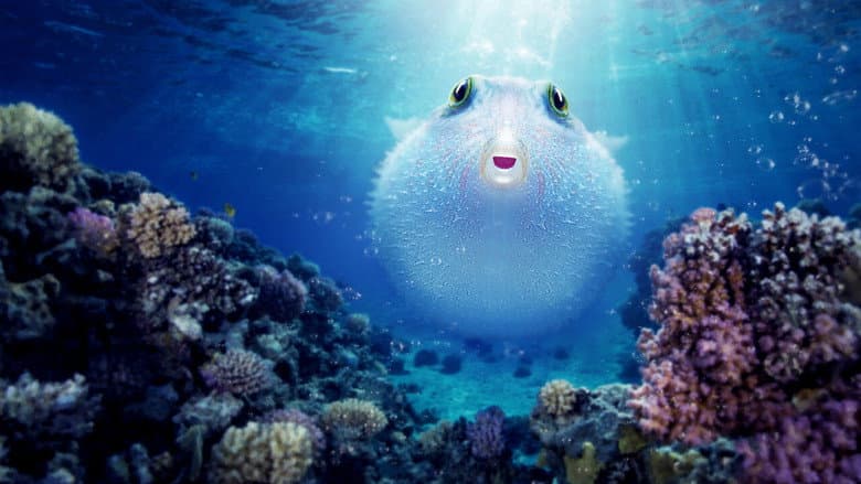 Puff: Wonders of the Reef still