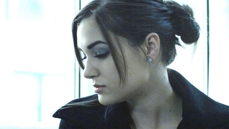 The Girlfriend Experience still