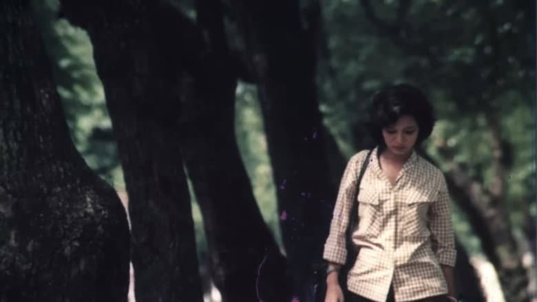 The Girl on the River still