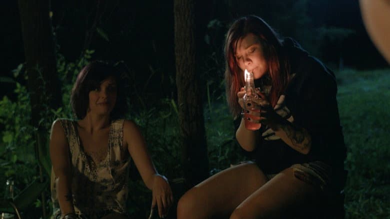 Don't Fuck in the Woods still