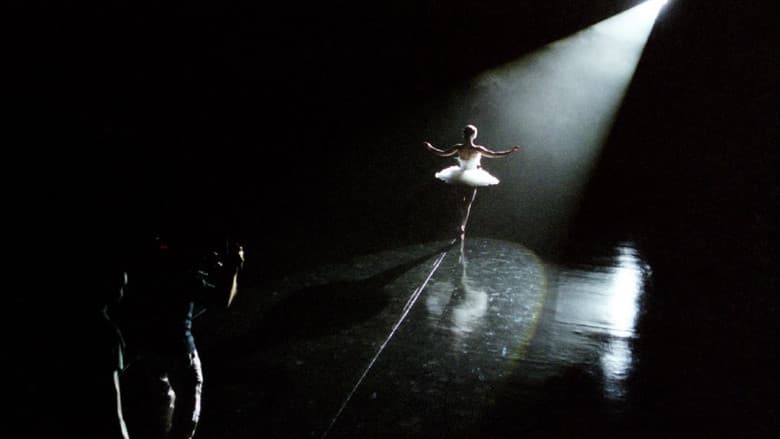 Black Swan: Metamorphosis still