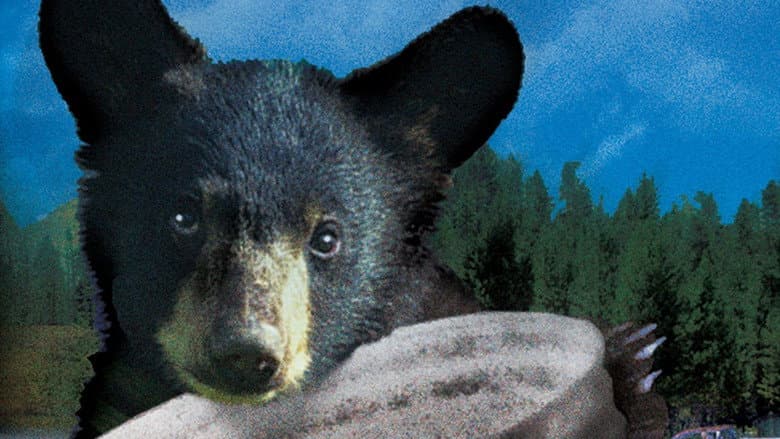 Yellowstone Cubs still