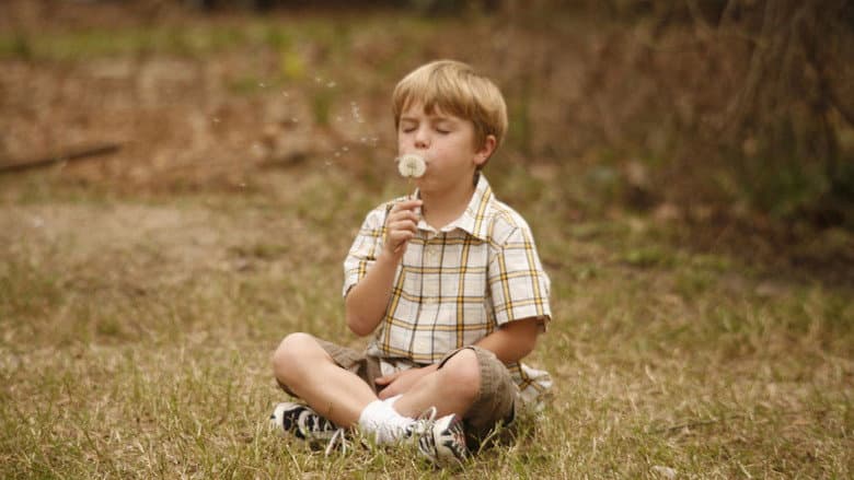 Like Dandelion Dust still
