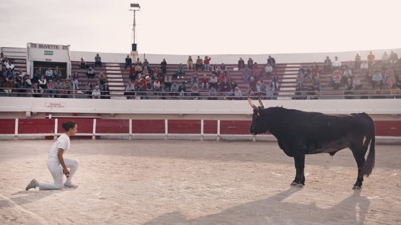 Animale still