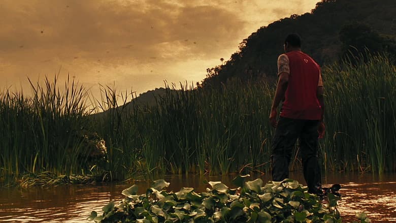 Primeval still
