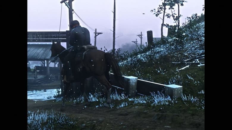 RED DEAD LIBERATION still