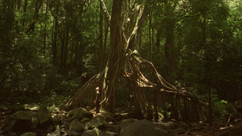 Jamojaya still