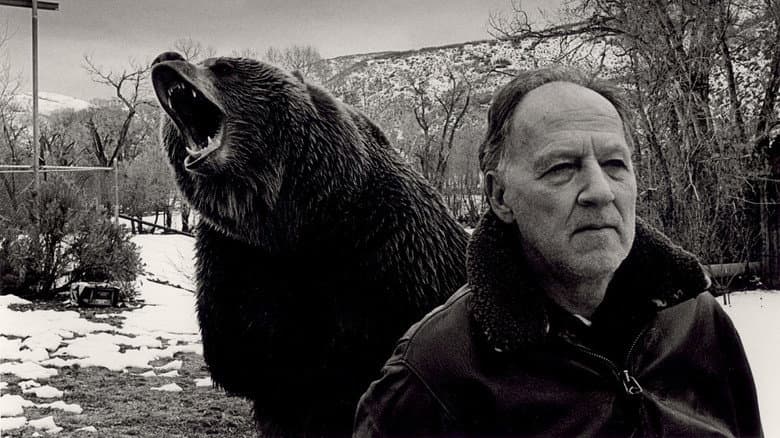 Grizzly Man still