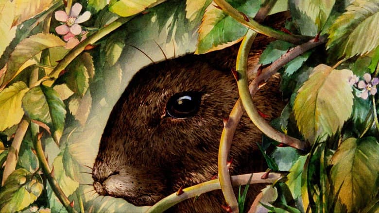 Watership Down still