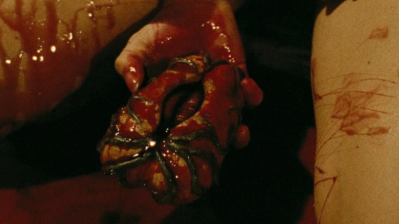 Disembodied still