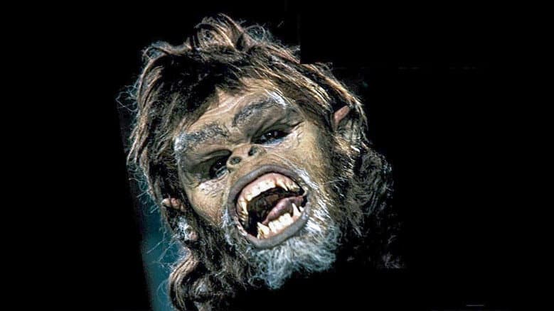 Trog still