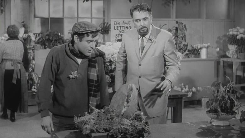 The Little Shop of Horrors still