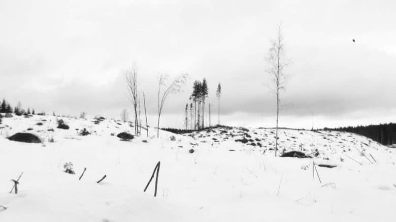 Winterreise still