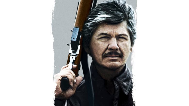 Death Wish 4: The Crackdown still
