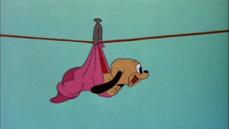 Pluto Junior still