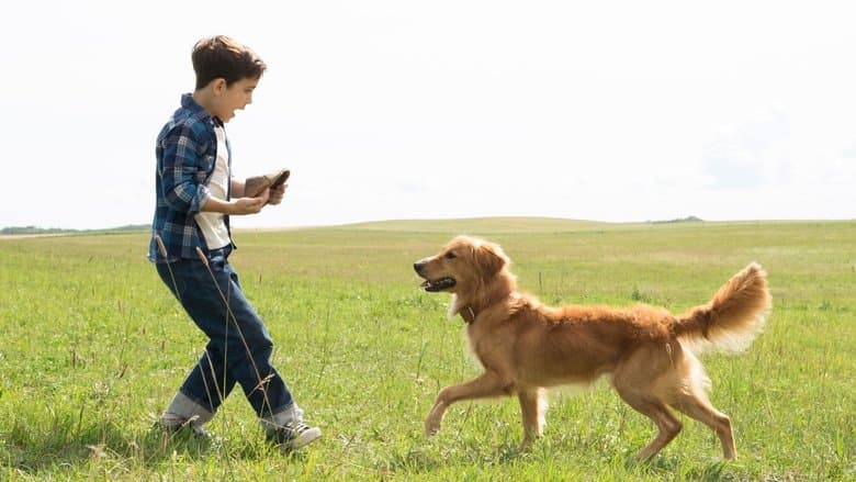 A Dog's Purpose still