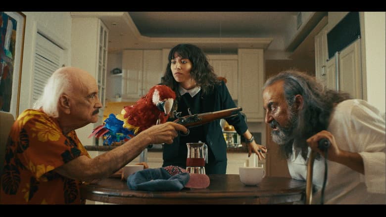The Old Man and the Parrot still