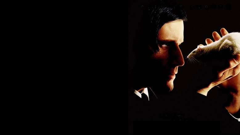 Willard still