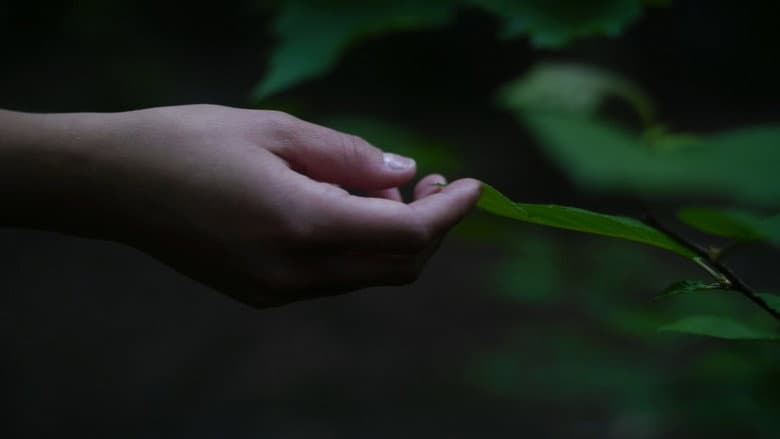 Liminal Girl still