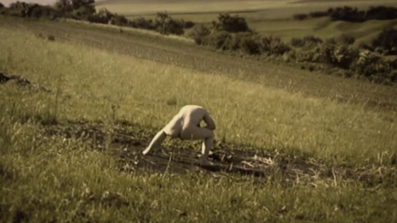 Debris Documentar still