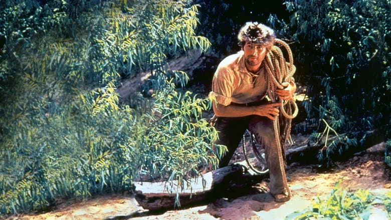 Davy Crockett and the River Pirates still