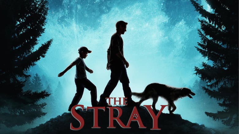 The Stray still