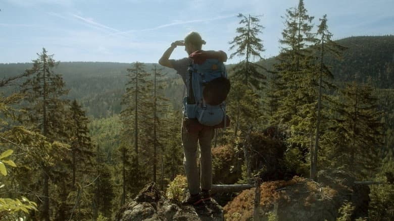 The Wild Forest still