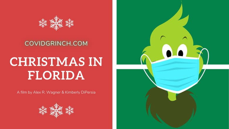 Christmas In Florida still