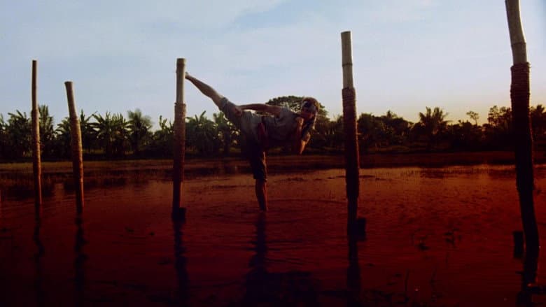 The King of the Kickboxers still