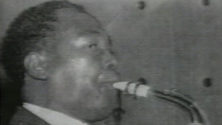Tambo Jazz still