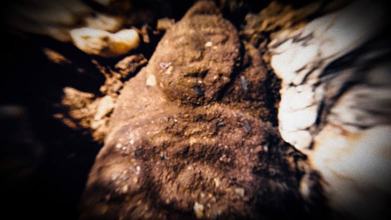 Ñuhu: Sacred Beings still