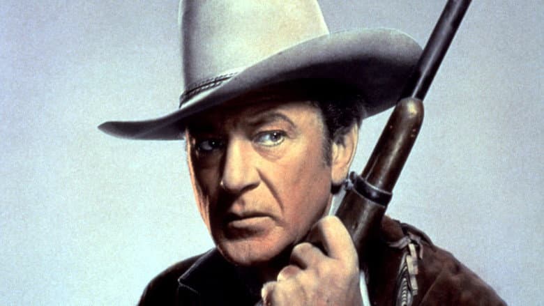 Springfield Rifle still
