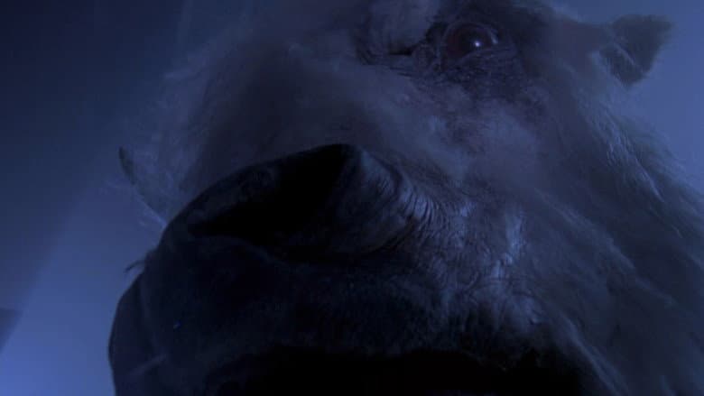 The White Buffalo still