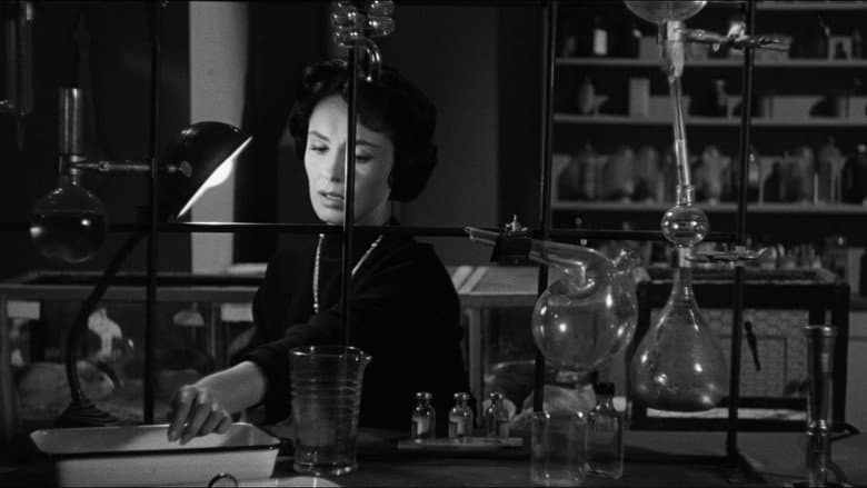 The Wasp Woman still