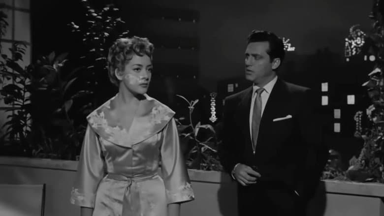 Mi desconocida esposa still