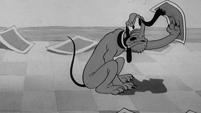 Playful Pluto still