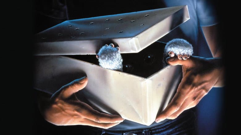 Gremlins still