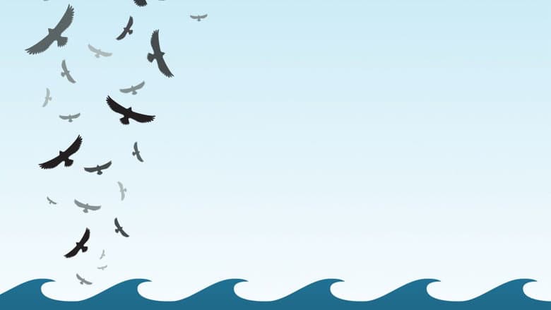In the Wake of the Flood still