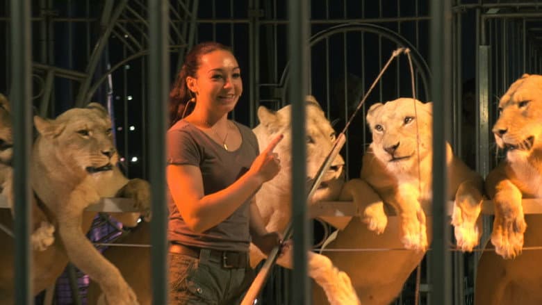 Wild Women: Gentle Beasts still