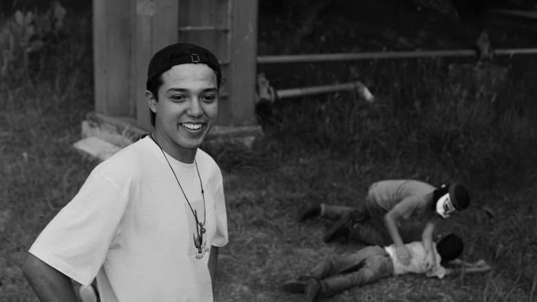 Volador still