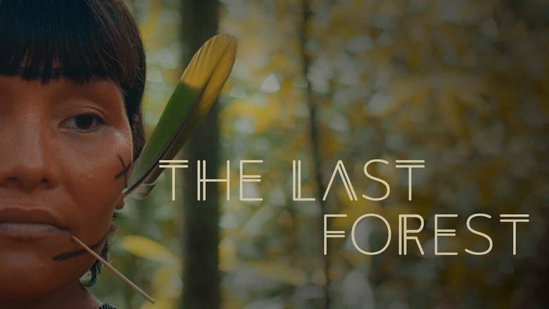 The Last Forest still