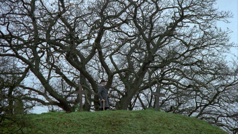 The New Land still