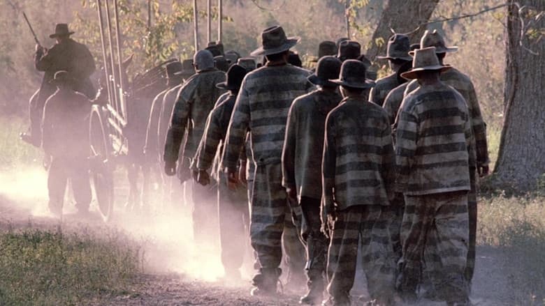 Convicts still