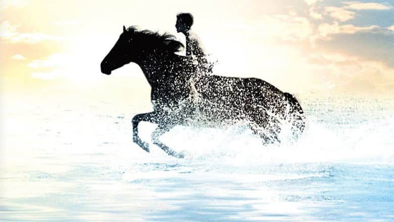 The Black Stallion still