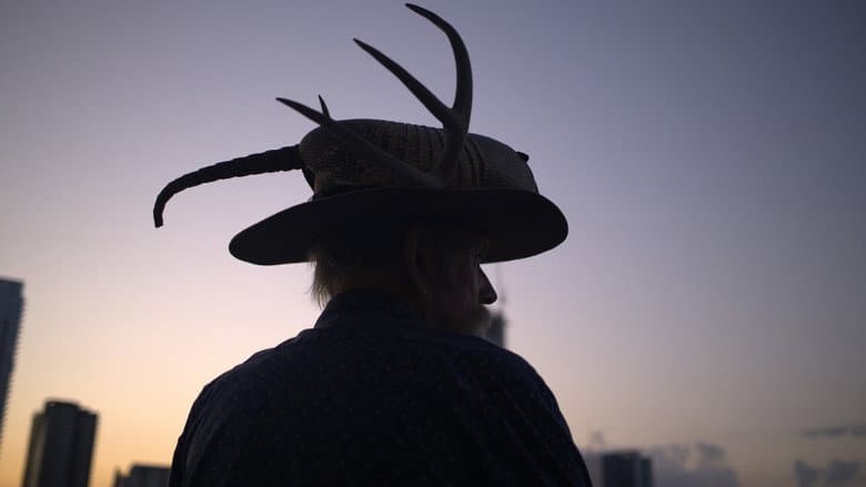 Armadillo Man: The Trips of Jim Franklin still
