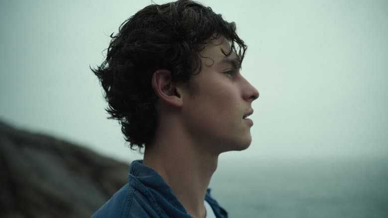 Shawn Mendes: In Wonder still