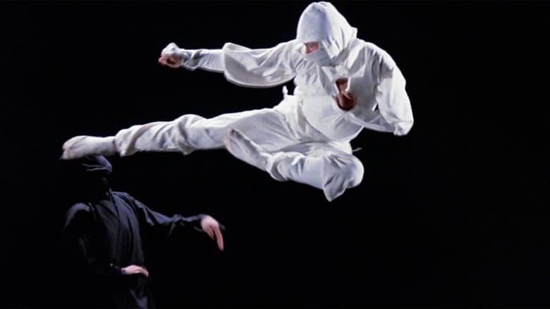 Enter the Ninja still